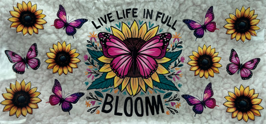 Live life